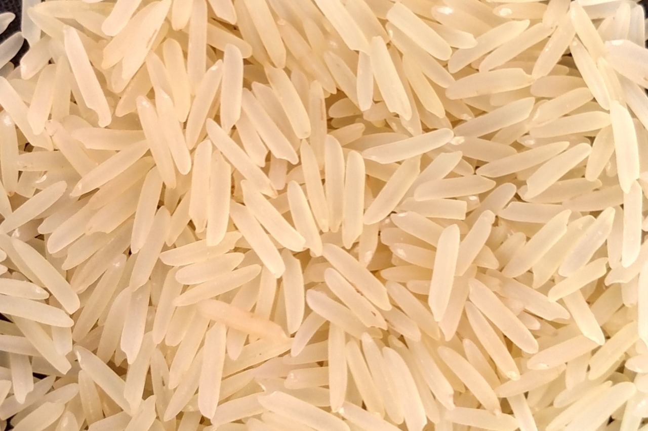 Rice Processing Plant